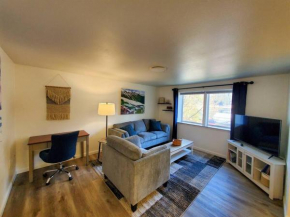 Updated Douglas Apartment, Near Downtown and Skiing